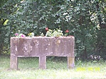 Csendélet