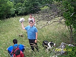 Megvan a láda!