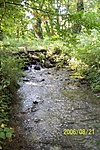 Patak