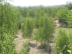 Kilátás