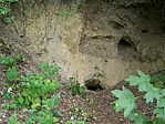 Bárcaházi-barlang