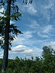 Hazafelé