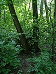 Rejtek