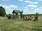 Parkoló