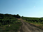 A 2. pont közelében