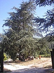 A célon túl