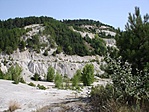 A murvabánya