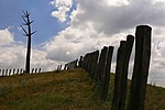 Cölöpsor