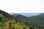 Panoráma