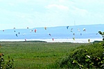 Ernyősök