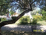 1. pont környéke