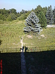 Vidám árnyak