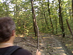bottal a pók ellen