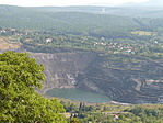 Flóra