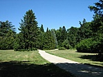 Tiszta Schönbrunn