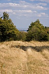 Sovány panoráma