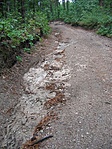 Sárga +