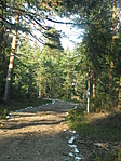 Fehér kövekkel kijelölt út