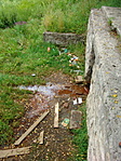 Forrás