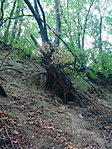 Ládarejtek