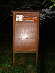 A cédrus táblája