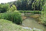 Tavacska