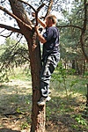 Dzsozy a fán