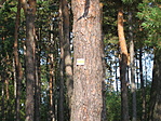 1 db sárga jel