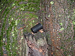 A cache