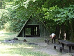 Erdei pihenő