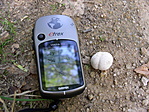 geoakt