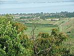 Panoráma