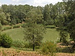 Csodalatos