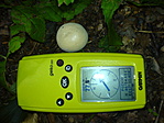 Pöfeteg (Lycoperdon)