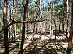 Mókus-felüljáró...