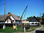 A Hadasban