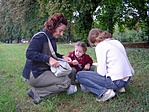 Gesztenyesor