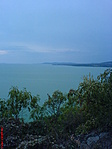 Balatonos, fás