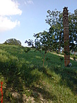 Kopjafa