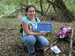 A ládika