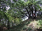 Vadregényes