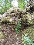 Kűzdelem