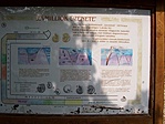 Tájékoztató