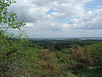 Panoráma
