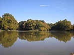 Félúton