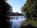 A parkolóból