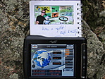 Log & check