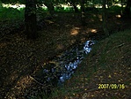 Patakocska