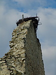 Gólyafészek