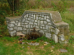 Forrás